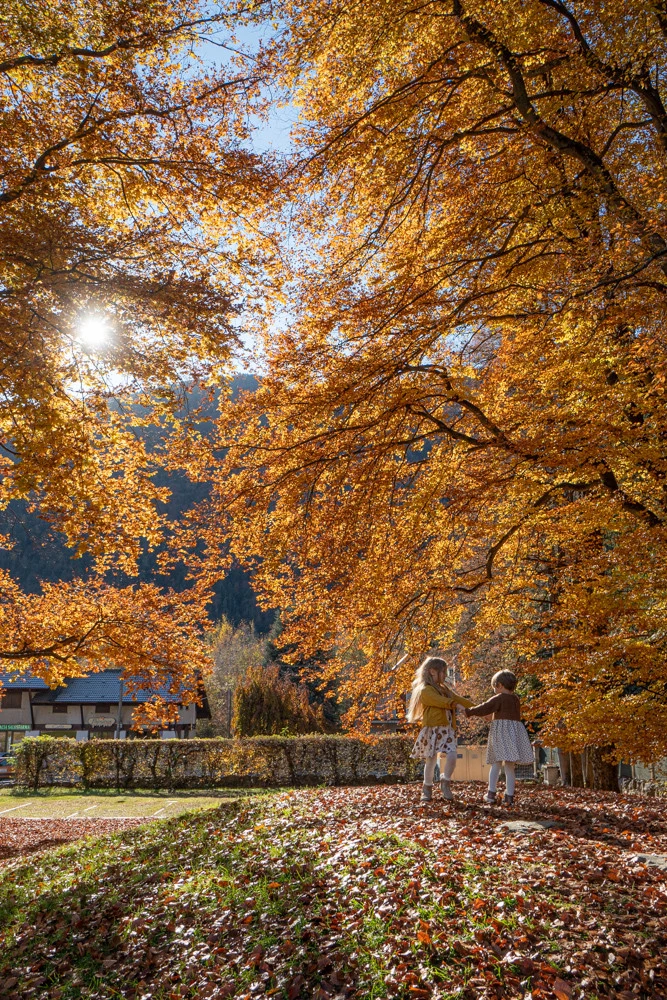 foliage-in-piemonte.webp foliage in piemonte