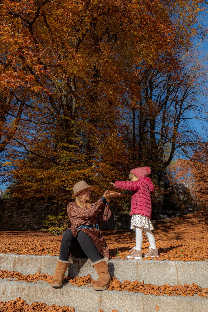 i-colori-del-foliage.webp i colori del foliage