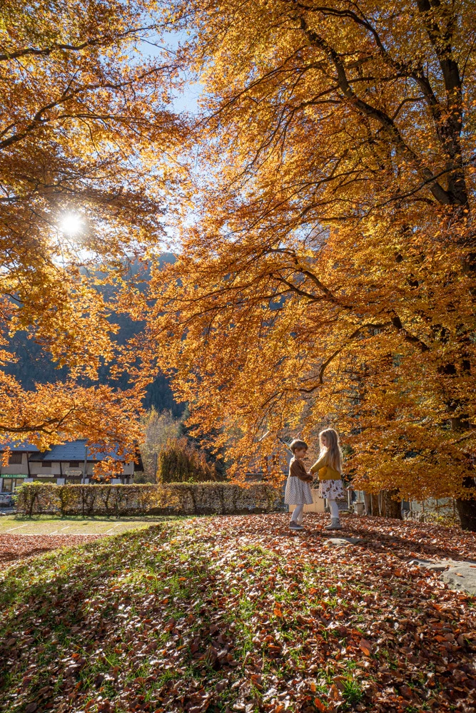 i-colori-dell-autunno.webp i colori dell'autunno in piemonte