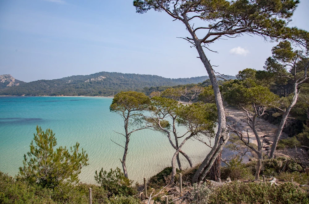 mare cristallino porquerolles