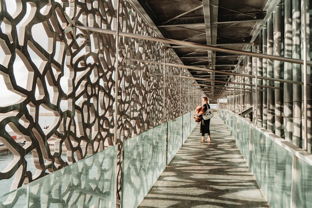 mucem vetrata