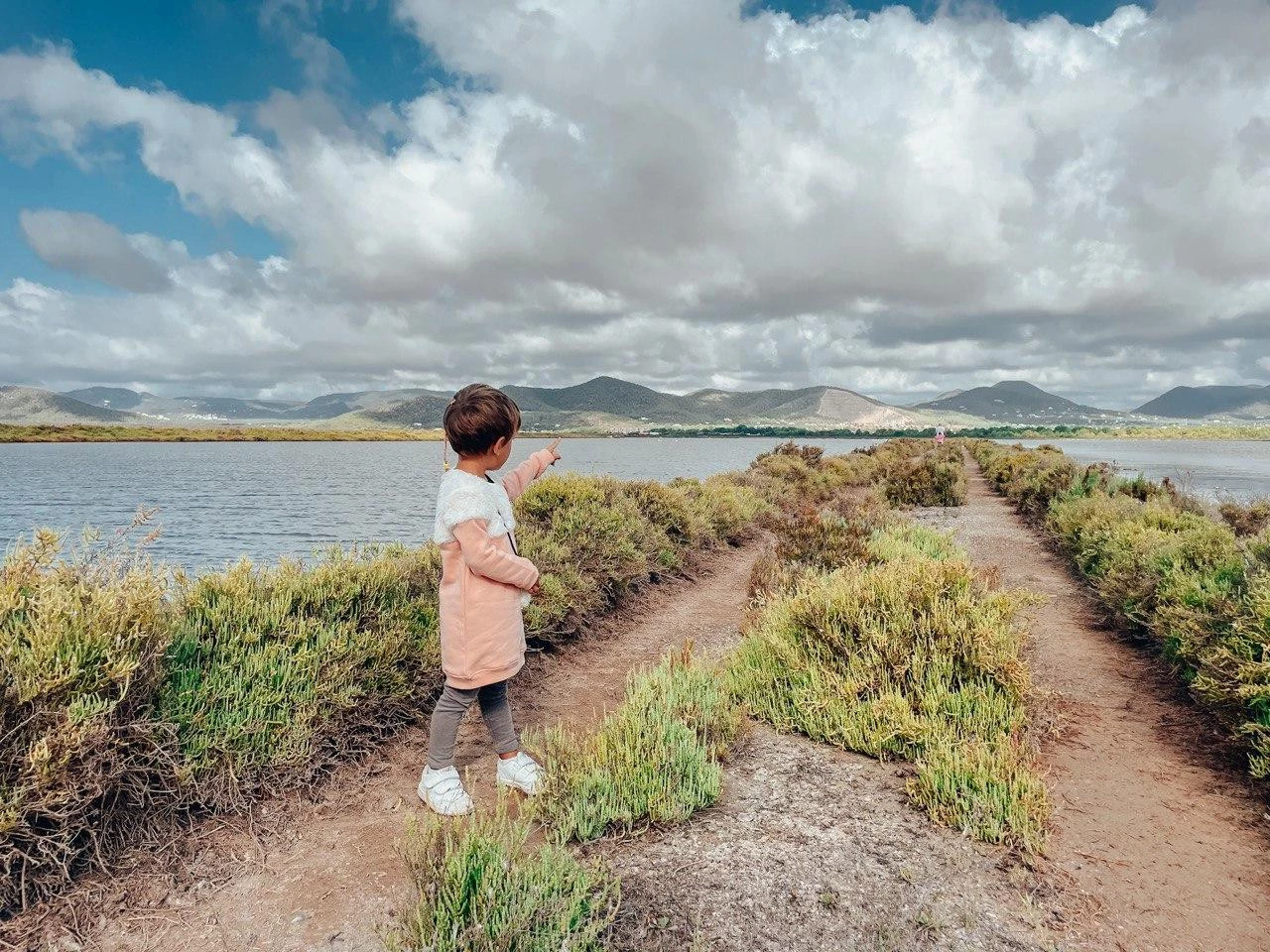 saline ibiza saline ibiza