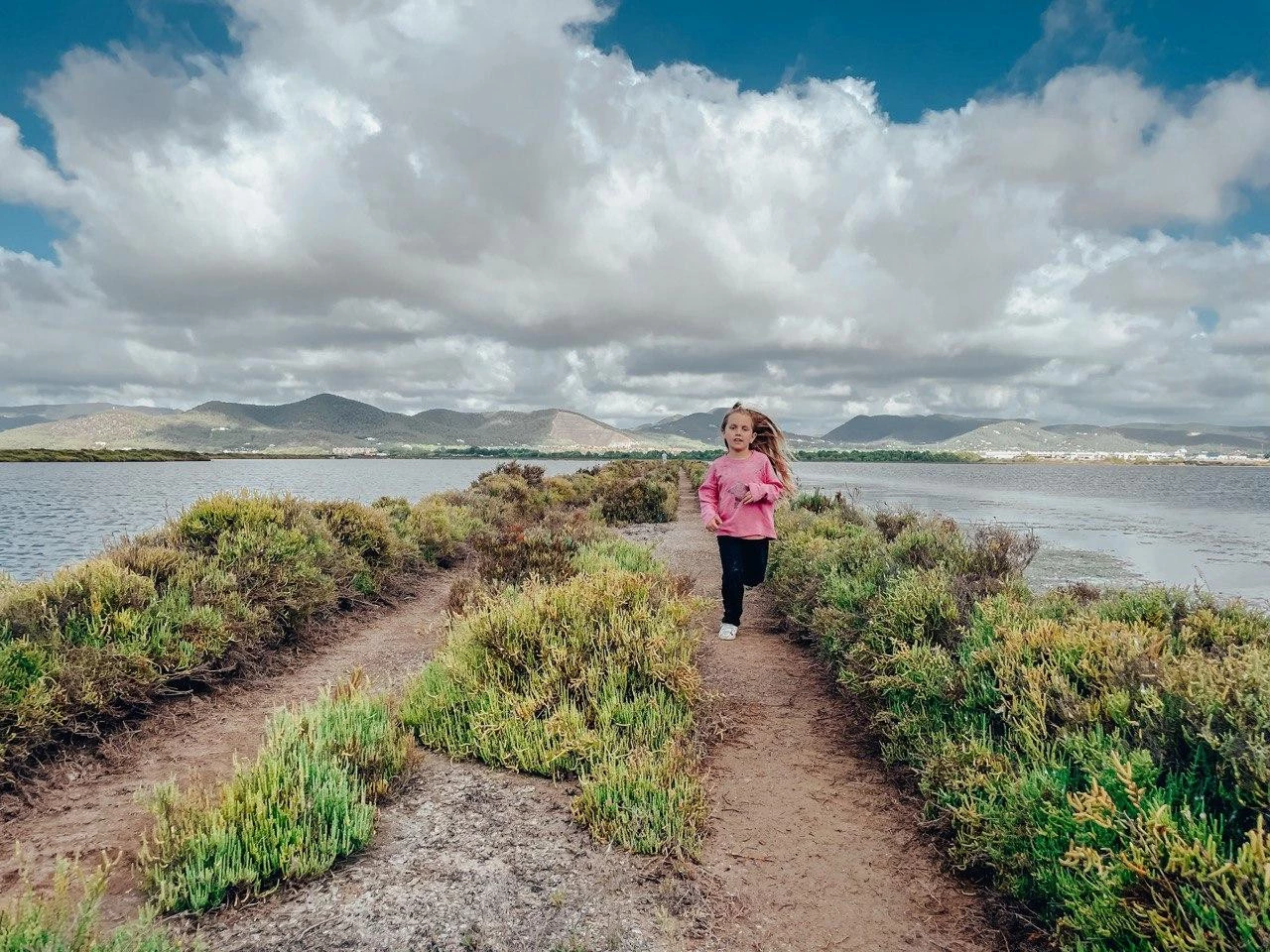 ses salinas ses salinas