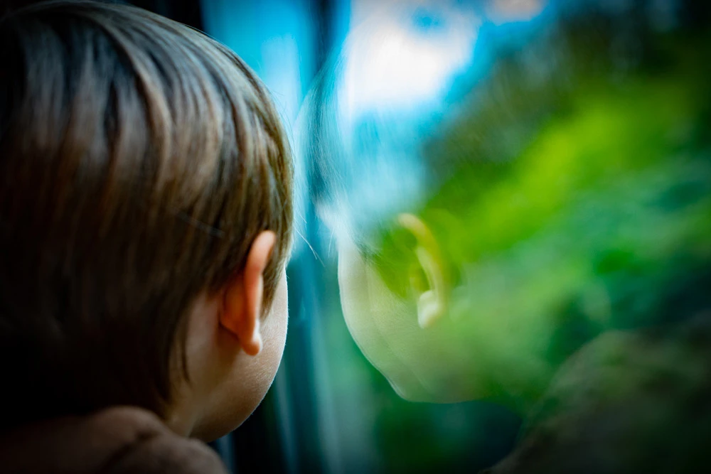 trenino-del-foliage.webp trenino del foliage