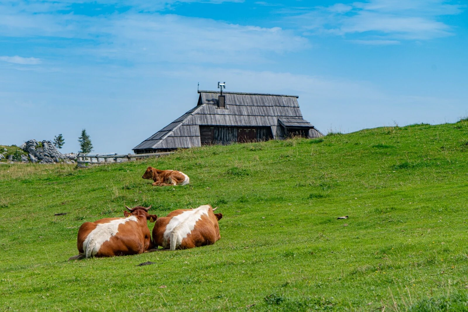 velika planina come arrivare
