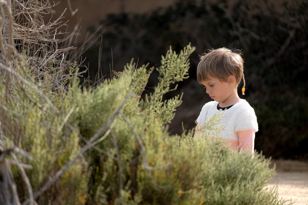 viaggio di famiglia ibiza viaggio di famiglia ibiza