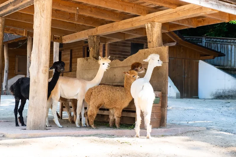 zoo di lubiana